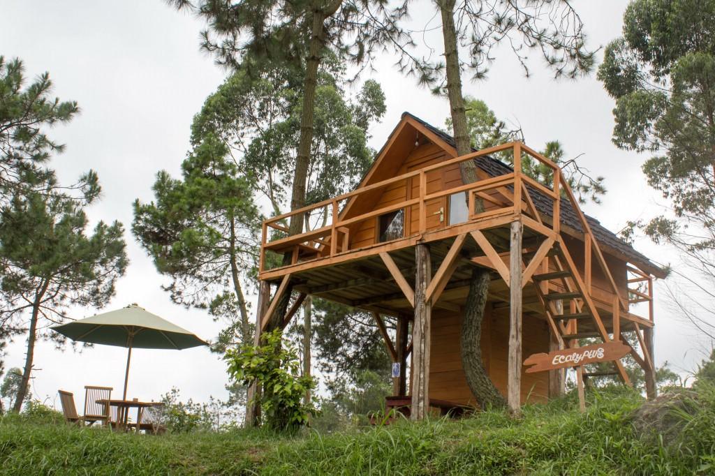 Papandayan Camping Ground Hotel Cileuleuy Buitenkant foto