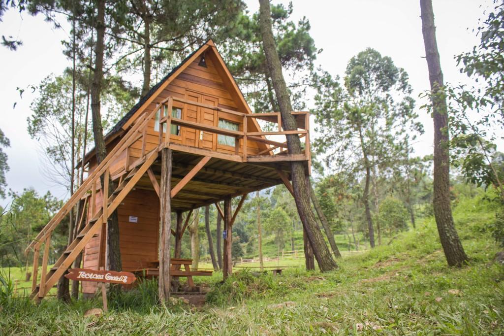 Papandayan Camping Ground Hotel Cileuleuy Buitenkant foto