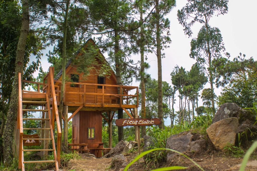 Papandayan Camping Ground Hotel Cileuleuy Buitenkant foto