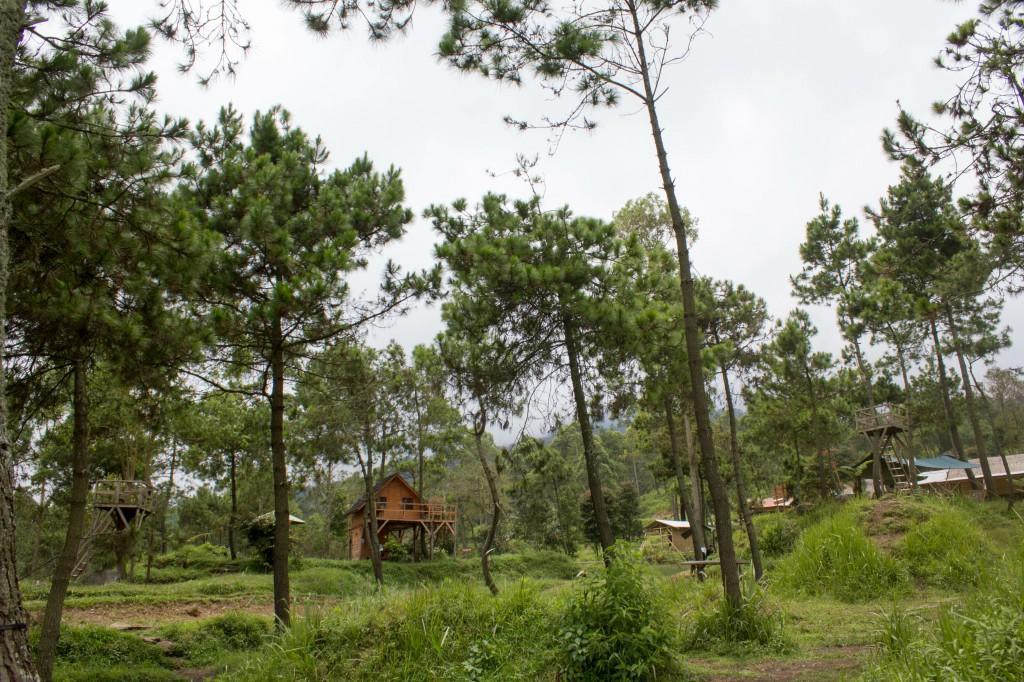 Papandayan Camping Ground Hotel Cileuleuy Buitenkant foto