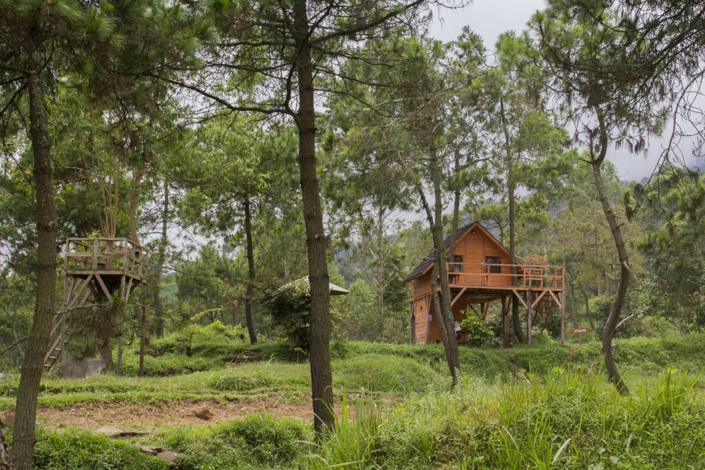 Papandayan Camping Ground Hotel Cileuleuy Buitenkant foto