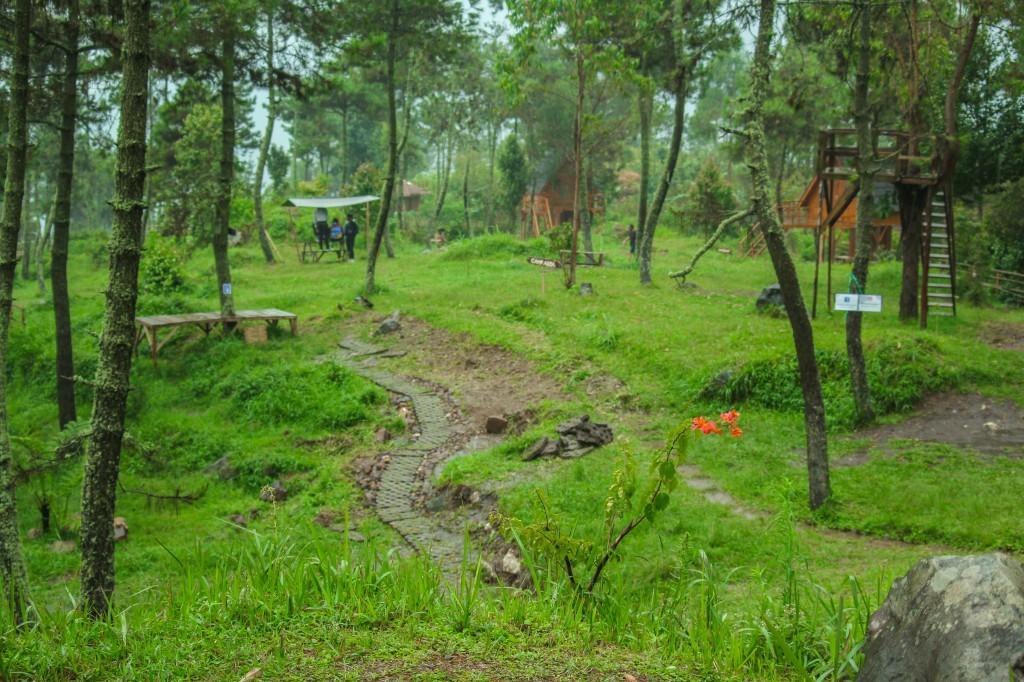 Papandayan Camping Ground Hotel Cileuleuy Buitenkant foto